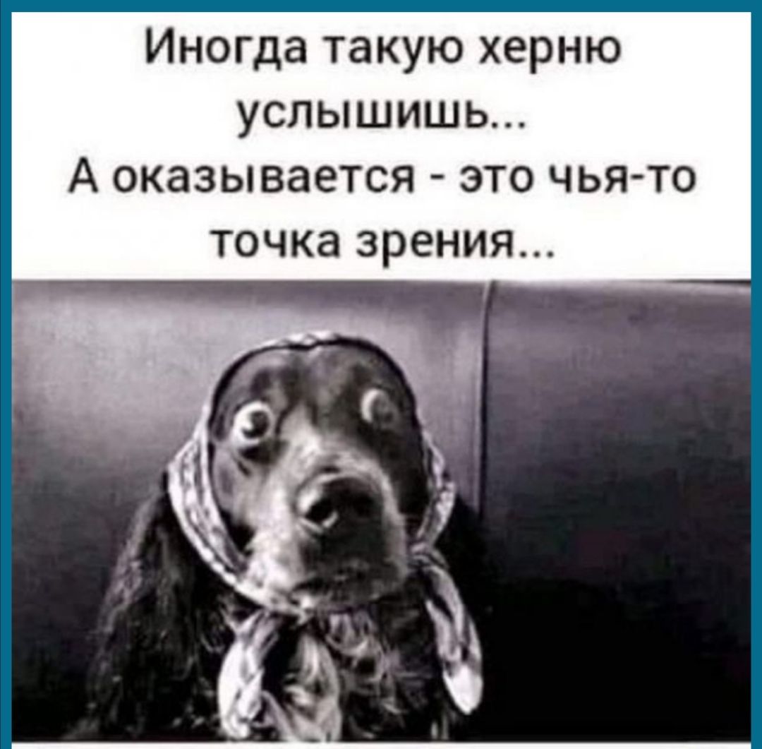 Иногда такую херню услышишь А оказывается это чья то ТОЧКЗ зрения