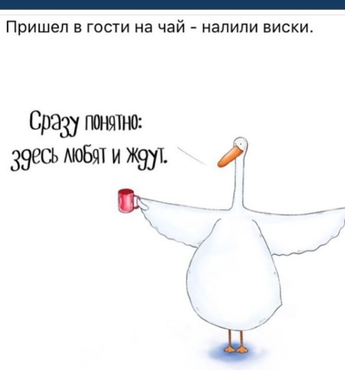 Пришел В ГОСТИ на чай НЗЛИЛИ ВИСКИ Сразу понятно Зэесь 1 и ЖЮТ