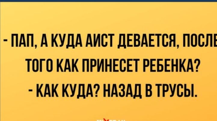 3 ПАП А КУДА АИСТ ДЕВАЕТСЯ ПОСЛЕ ТОГО КАК ПРИНЕСЕТ РЕБЕНКА КАК КУДА НАЗАД В ТРУБЫ