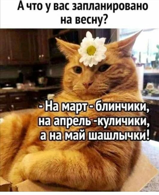 Ачто у вас запланировано на весну? , и г намартблинчики,  нагапрелькуличики, анамай шашлычки!