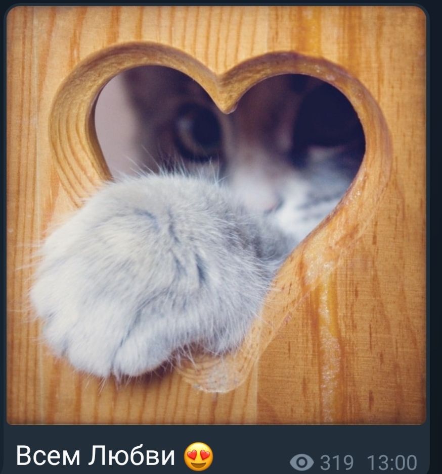 Всем Любви