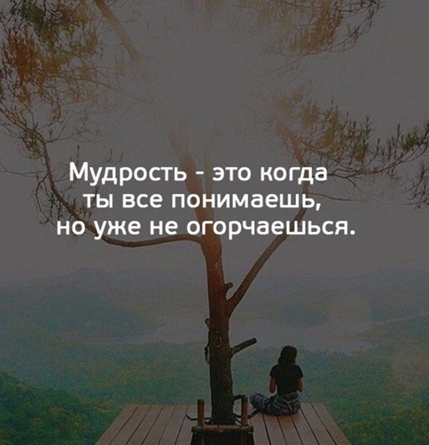 Мудрость это когда ты все понимаешь но уже не огорчаешься