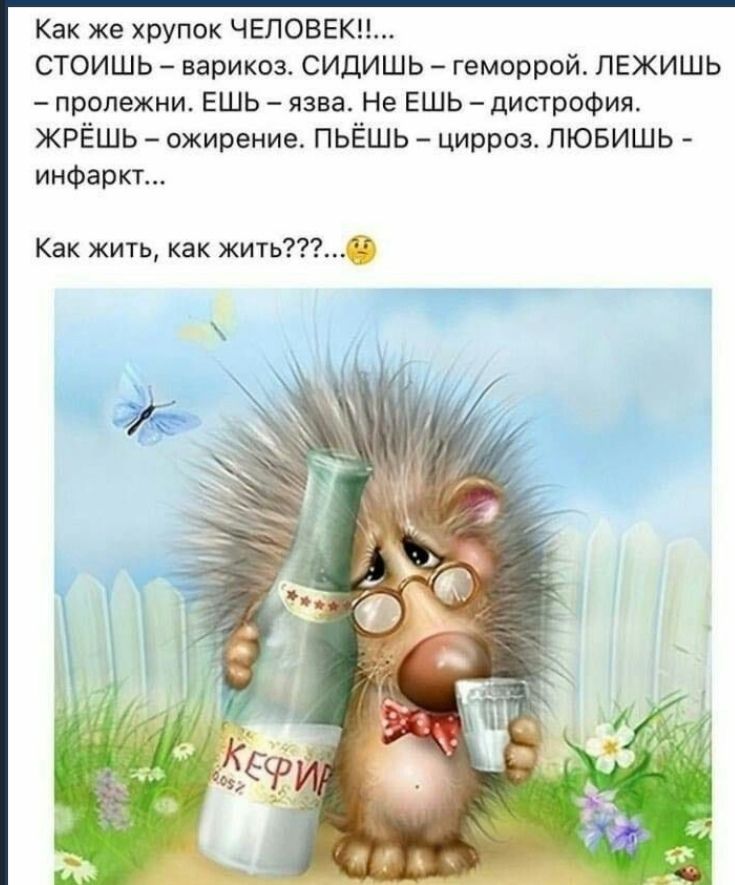 Как же хрупок ЧЕЛОВЕК СТОИШЬ варикоз СИДИШЬ геморрой ПЕЖИШЬ пролежни ЕШЬ язва Не ЕШЬ дистрофия ЖРЁШЬ ожирение ПЬЁШЬ цирроз ЛЮБИШЬ инфаркт Как жить как жить
