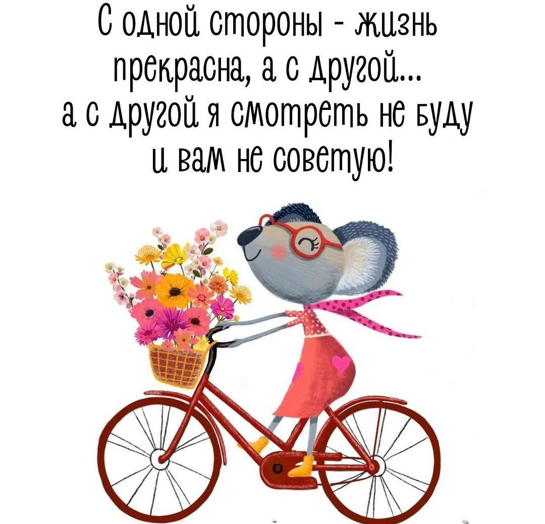С одной стороны жизнь прекрасна Аругой о другойя смотреть не Буш и вам не советую