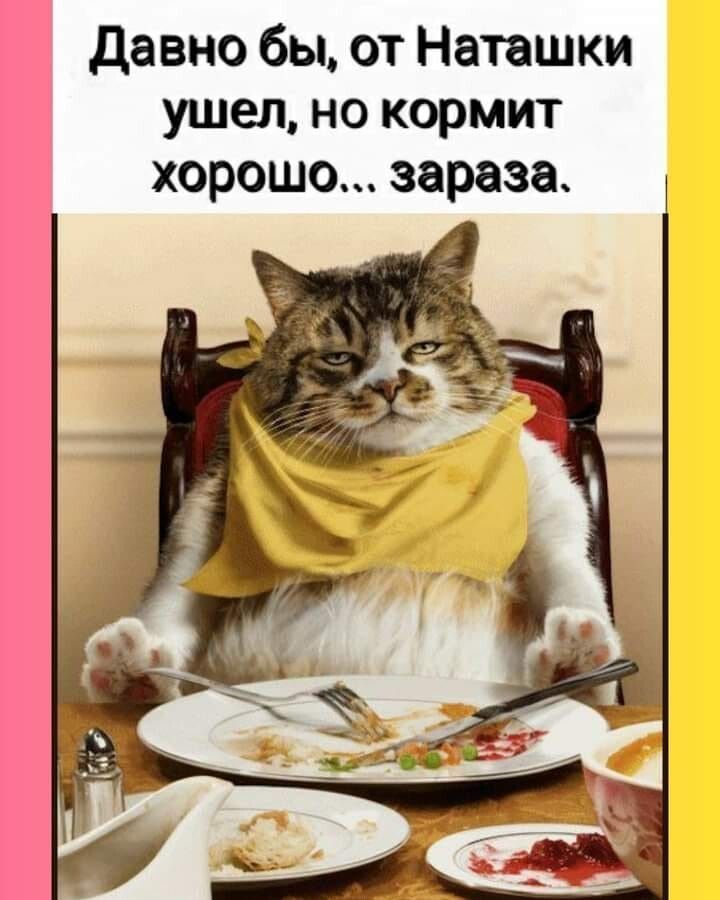 давно бы от Наташки ушел но кормит хорошо зараза
