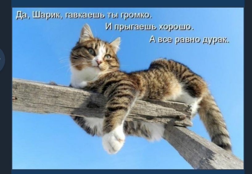 1 гранью прыгаешь хорошо г все равно дурак