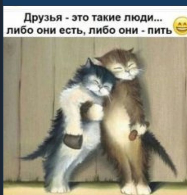 друзья это такие люди либо они есть либо они пить