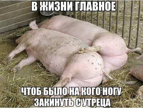 В 93 ШШШ