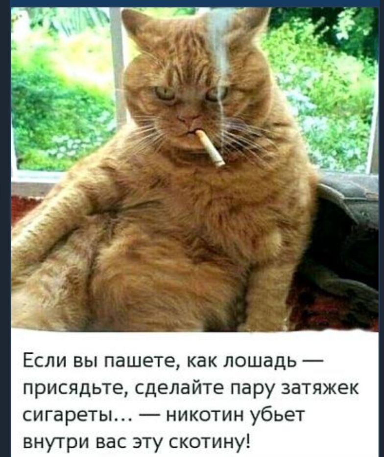 Если вы пашете как лошадь присядьте сделайте пару затяжек сигареты никотин убьет внутри вас эту скотину