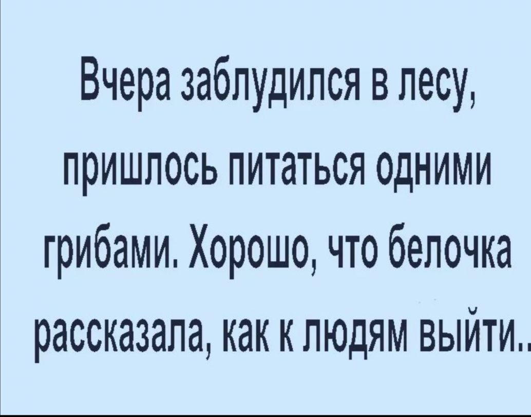 Вчера заблудился в лесу пришлось питаться одними грибами Хорошо что белочка рассказала как к людям выйти