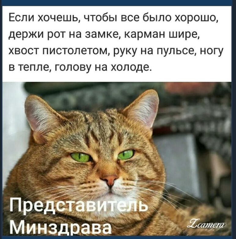 Если хочешь чтобы все было хорошо держи рот на замке карман шире хвост пистолетом руку на пульсе ногу в тепле голову на холоде минздрава авЁалет