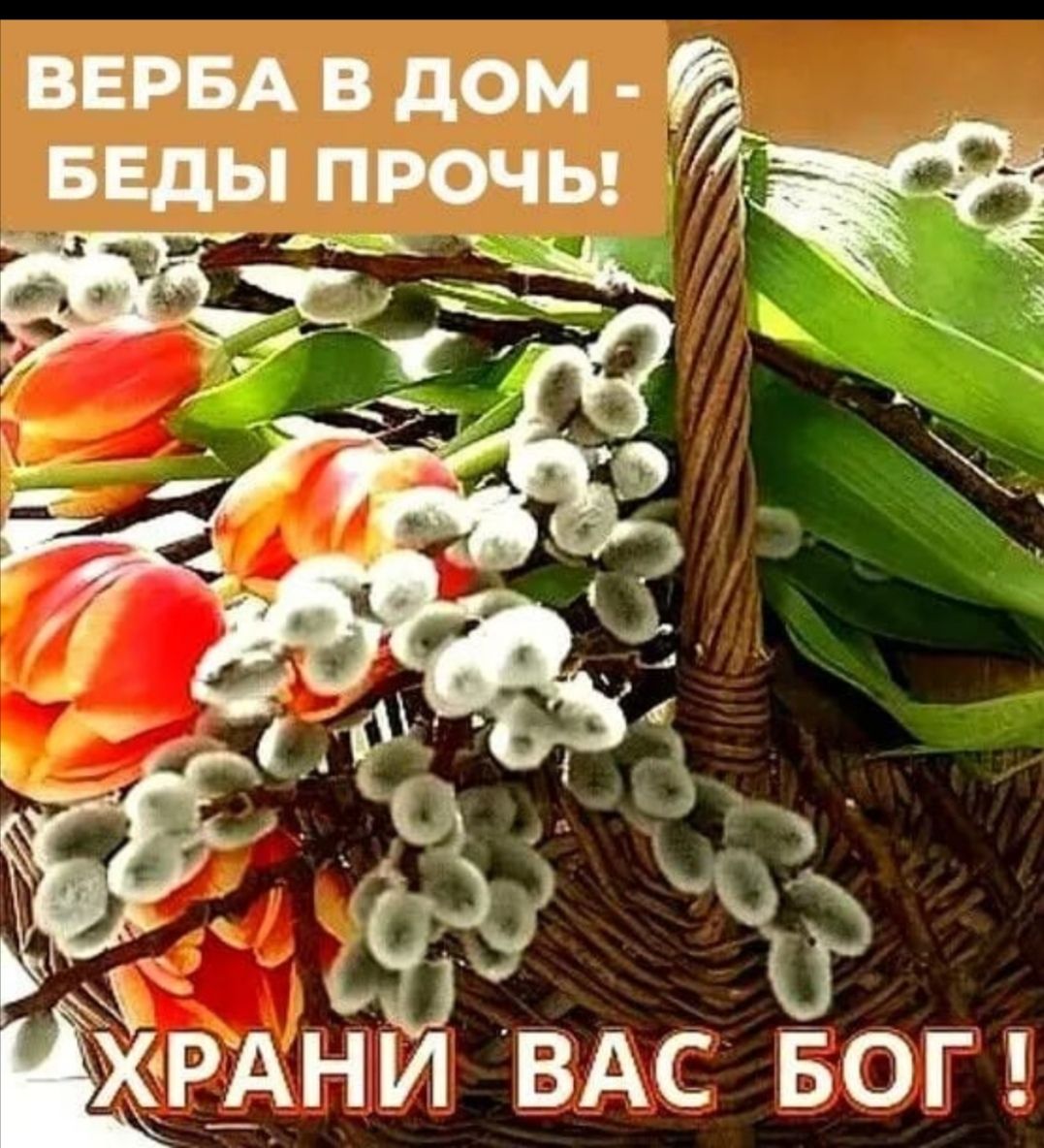веры в дом веды прочь ЁЁРАНИ ВАС БОГ