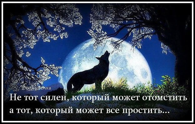 Не ТОТ силен КОТОРЫЙ может 0 ЙМСТИТЬ ТОТ КОТОРЫЙ может все ПРОСТИТЪ
