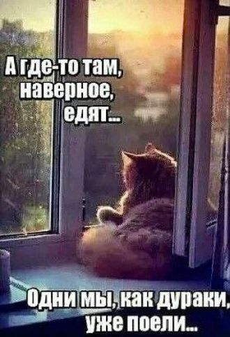 Ё _ Ёна ЛИПКИ ЁЁ чаи