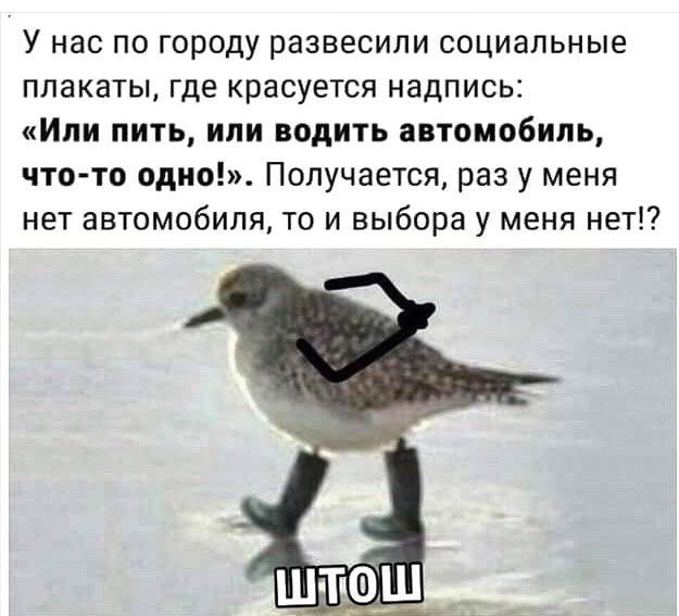У нас по городу развесили социальные плакаты где красуется надпись Или пить или водить автомобиль что то одно Получается раз у меня нет автомобиля то и выбора у меня нет