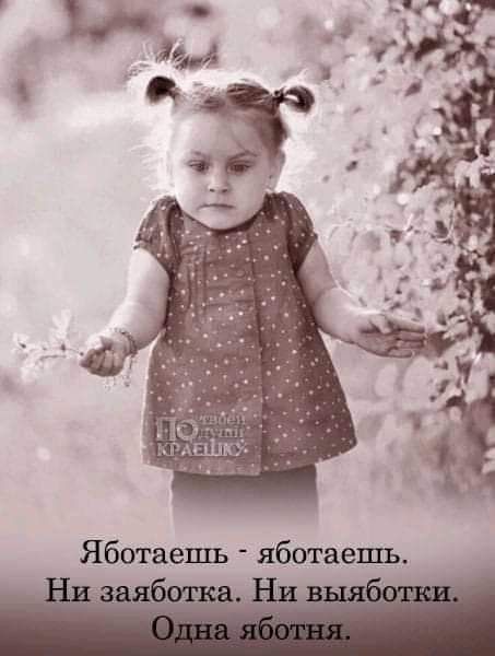 Ябшаешь яботаешъ