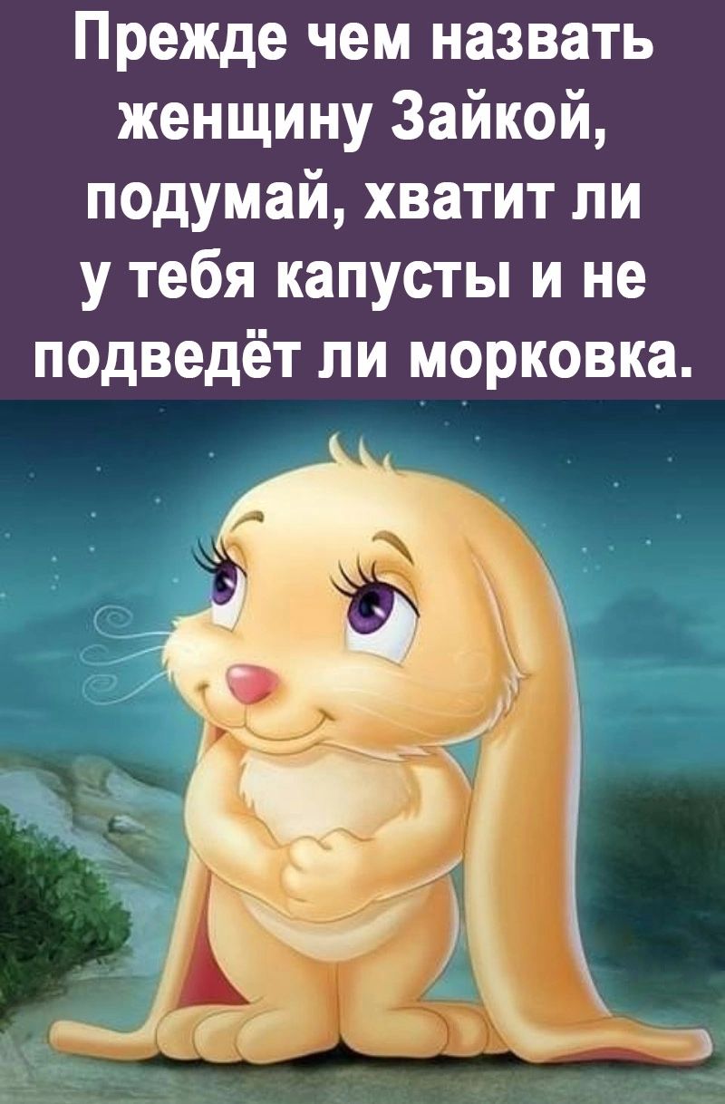 Прежде чем назвать женщину Зайкой подумай хватит ли у тебя капусты и не подведёт ли морковка