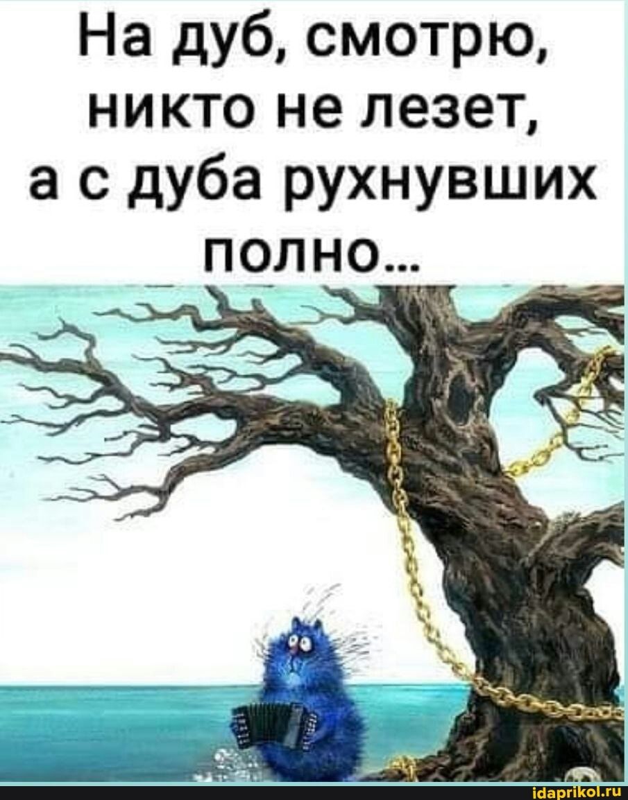 На дуб смотрю никто не лезет а с дуба рухнувших