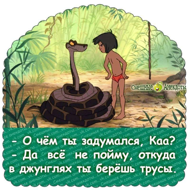 О чём ть задумался Ксю да всё не пойму откуда в джунглях ты берёшь трусы