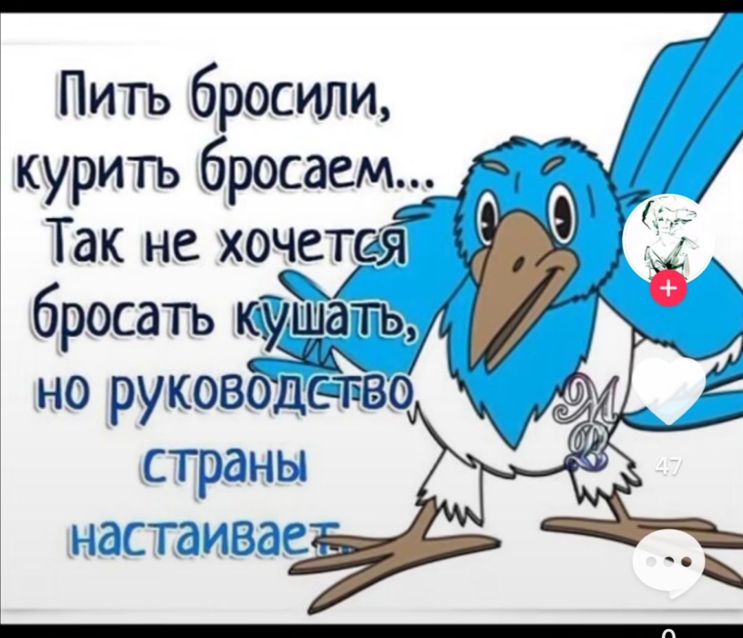 Так не хочетая бросать 5 но руководит ао страны НдСТдИВдС _ Пить бросили курить бросаем