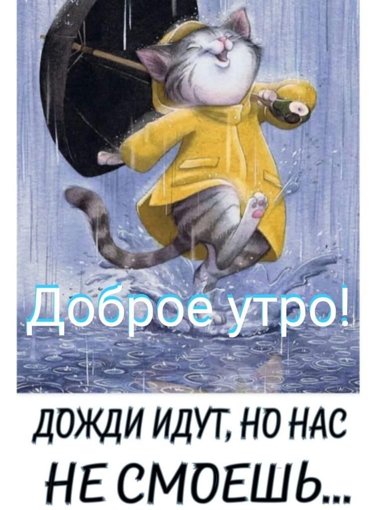 дожди идЙ нд ндс НЕ СМОЕШЬ