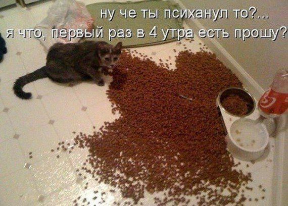 г и чго 9 71