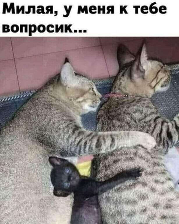 Милая у меня к тебе вопросм