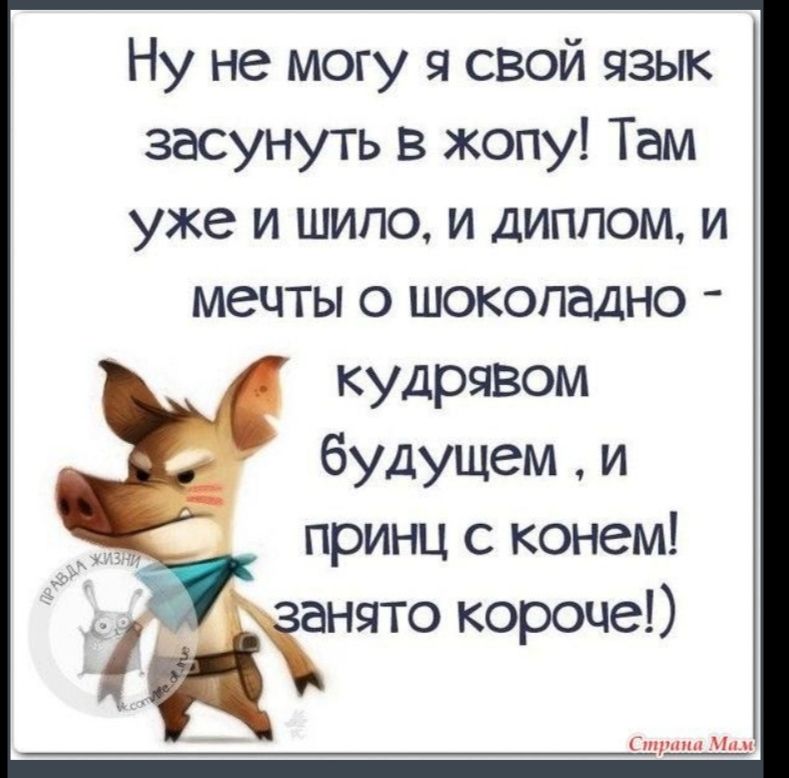Ну не могу я свой язьп засунуть в жопу Там уже и шило и диплом и мечты о шокопадно кудрявом будущем и принц с конем Йа_нято короче