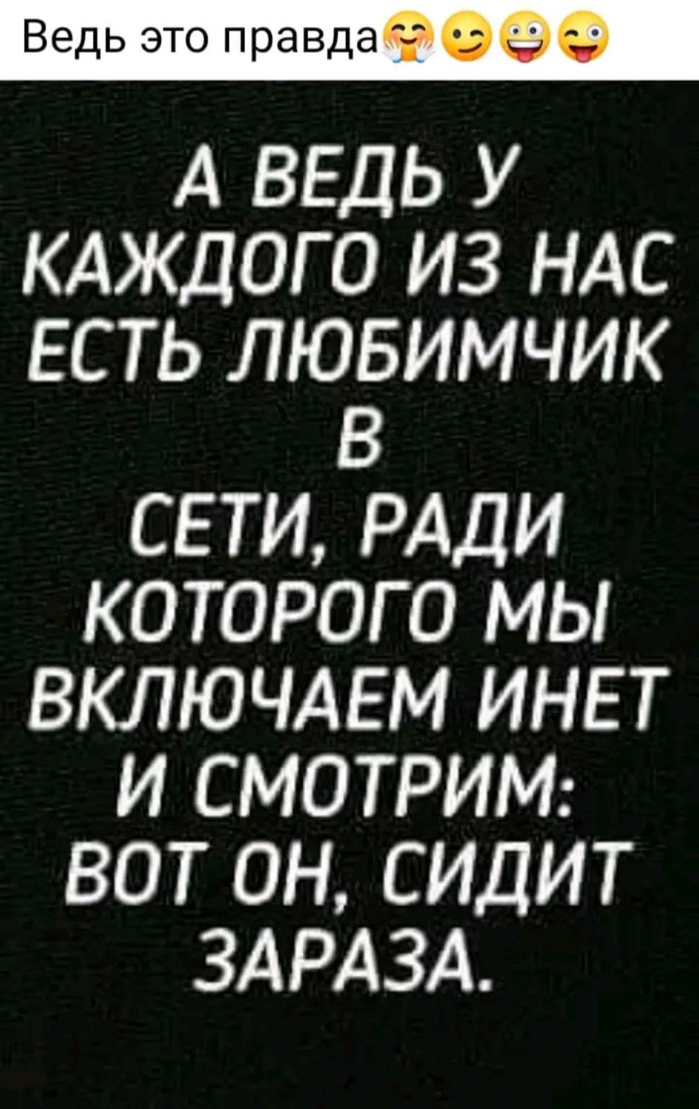 Ведь это правда т А ВЕДЬ У КАЖДОГО ИЗ НАС ЕСТЬ ЛЮБИМЧИК В СЕТИ РАДИ КОТОРОГО МЫ ВКЛЮЧАЕМ ИНЕТ И СМОТРИМ ВОТ ОН СИДИТ ЗАРАЗА