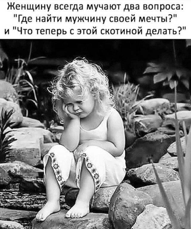 Женщину всегда мучают два вопроса Где найти мужчину своей мечты и Что теперь с этой скотиной делать