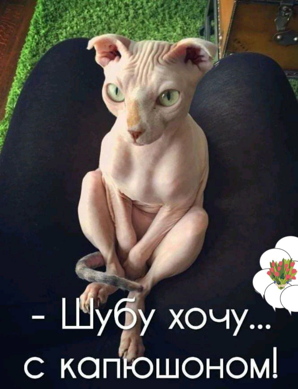 _Ёубу хочуа с копЁошоном