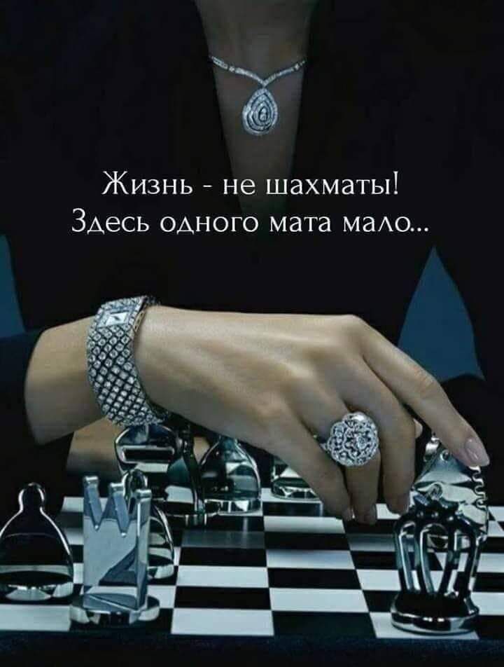 К Жизнь не шахматы ЗАесь одного мата маАо
