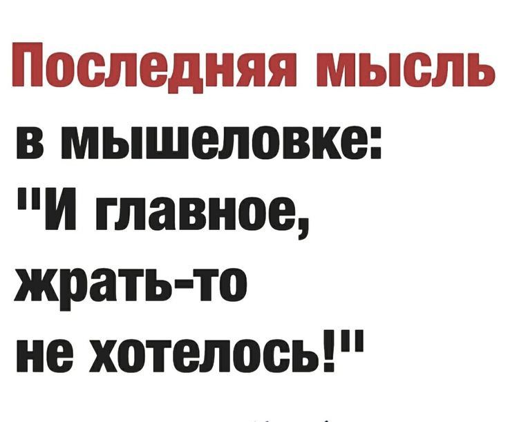 Последняя мысль в мышеловке И главное жрать то не хотелось