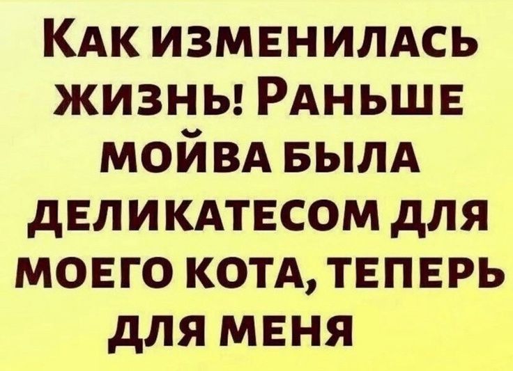 КАк изменилдсь ЖИЗНЬ РАНЬШЕ мойвд БЫЛА деликдтвсом для моего котд теперь для мвня