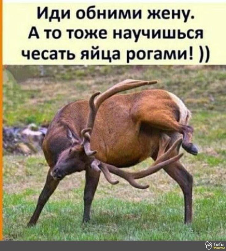 Иди обними жену А то тоже научишься