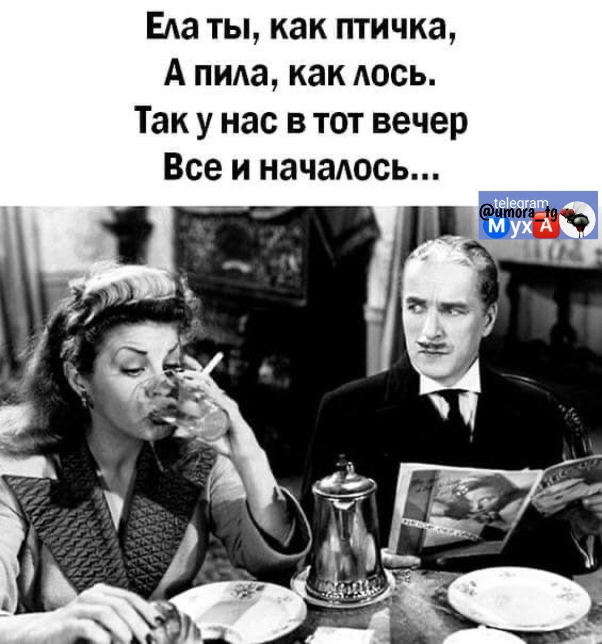 Еда ты как птичка А пида как АОСЬ Так у нас в тот вечер Все и началось