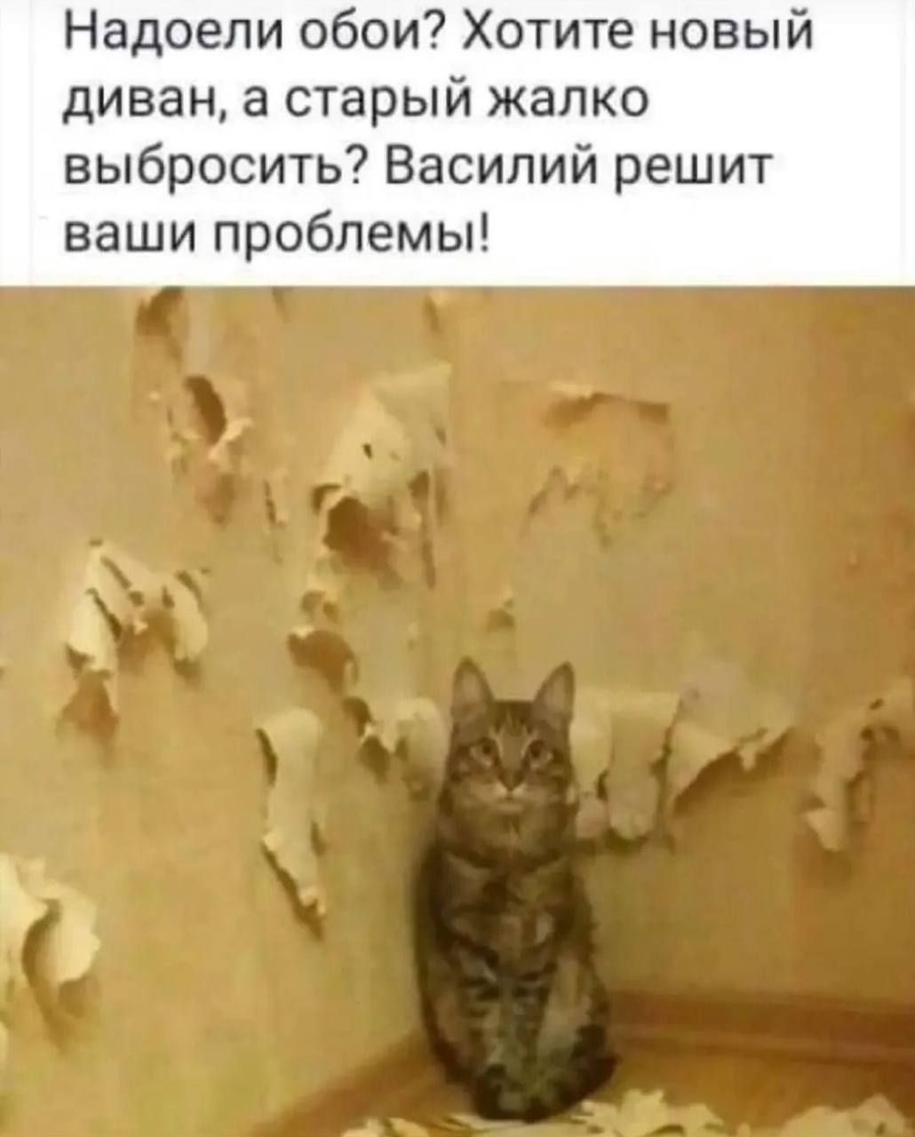 Надоели обои Хотите новый диван а старый жалко выбросить Василий решит ваши проблемы