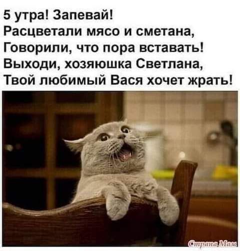 5 утра Запевай Расцветапи мясо и сметана Говорили что пора вставать Выходи хозяюшка Светлана Твой любимый Вася хочет жрать