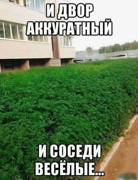 исцсъди веселые