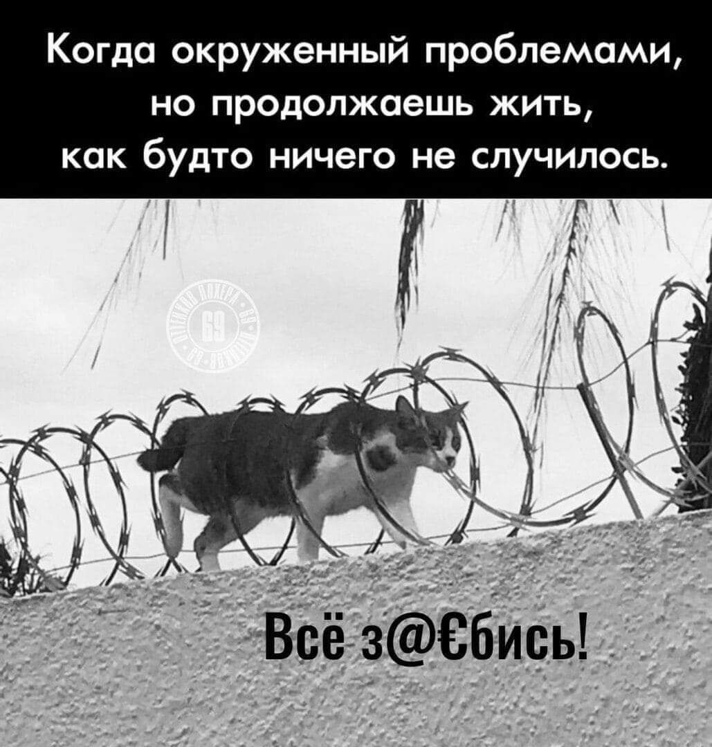 Когда окруженный проблемами но продолжаешь жить как будто ничего не случилось Всёгзсфеби сь