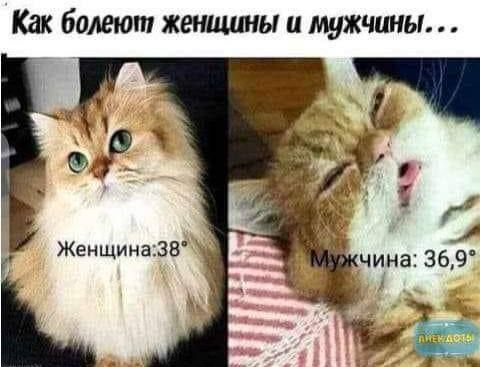 Как ботам жеищшш и мужчины