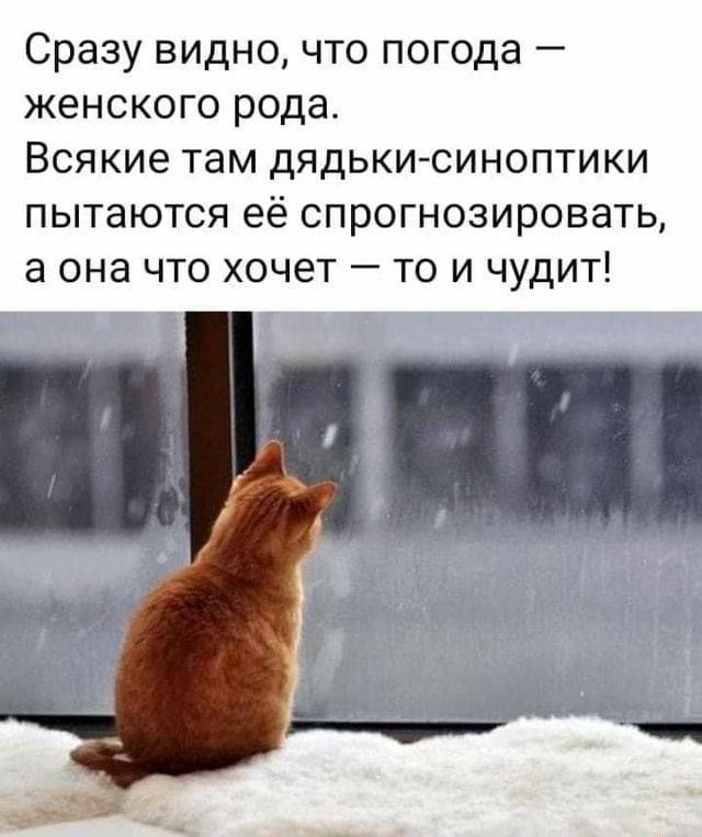 Сразу видно что погода женского рода Всякие там дядьки синоптики пытаются её спрогнозировать а она что хочет то и чудит