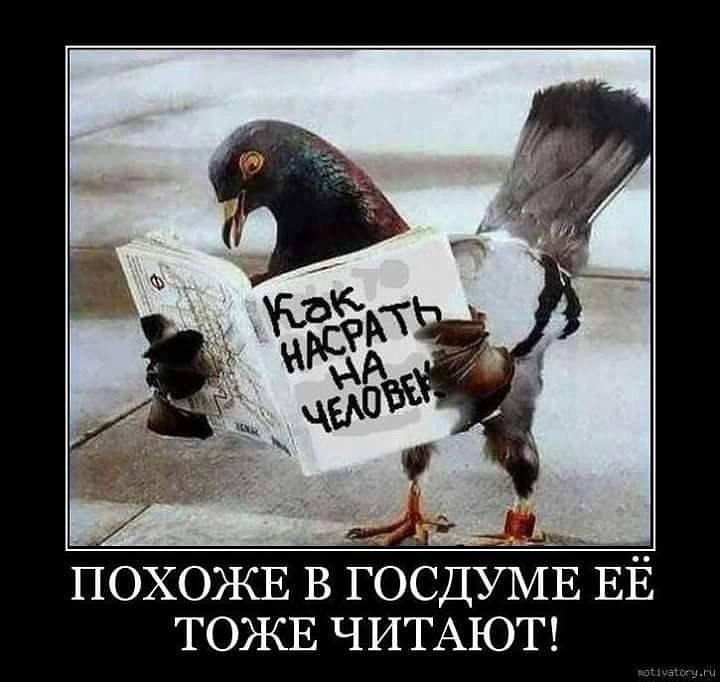 ПОХОЖЕ в ГосдУіЁ ЕЁ тожв ЧИТАЮТ