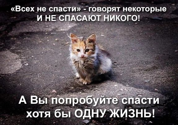 Всех не спаст говорят некоторые