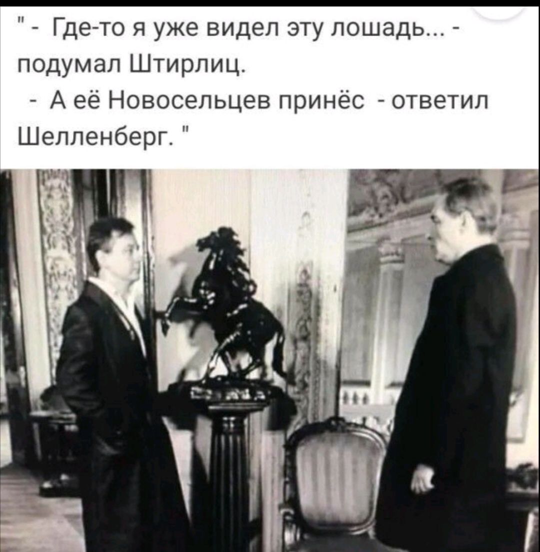 Гдето я уже видел эту лошадь подумал Штирлиц А её Новосельцев принес ответил Шелленберг