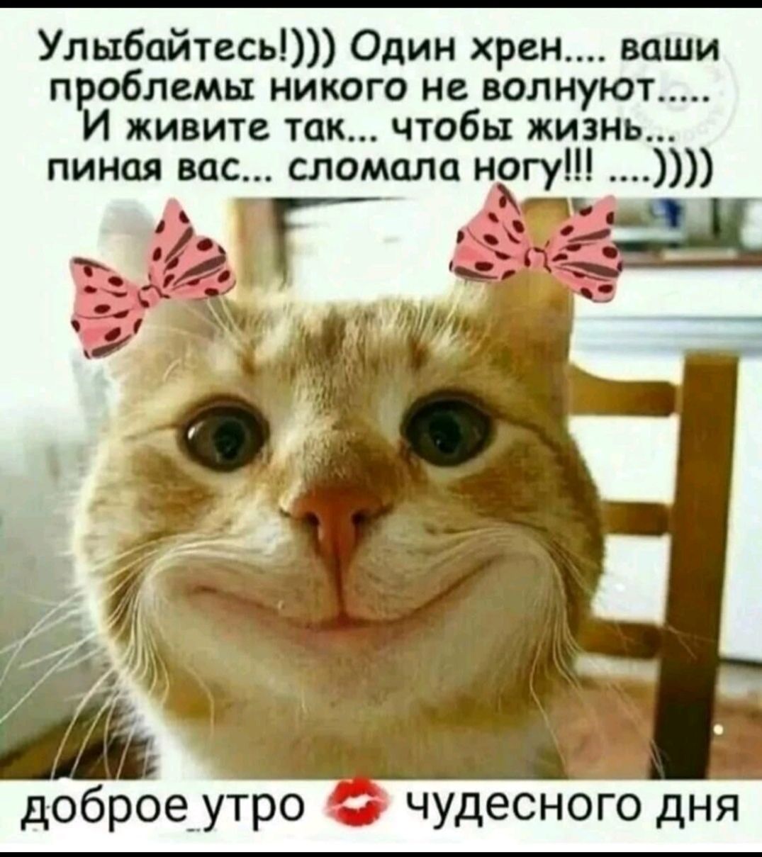 Улыбайтесь Один хрен ваши проблемы никого не волнуют И живите так чтобы жизнь пинал вас сломила ногу доброеіутро чудесного дня