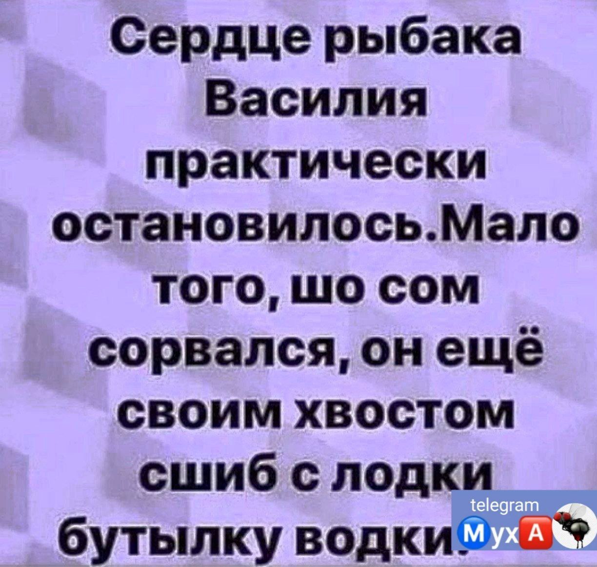 Сердце рыбака Василия практически остановилосьМало того шо сом сорвался он ещё своим хвостом сшиб с лодки _ бутылку водкиФ ЙЧ