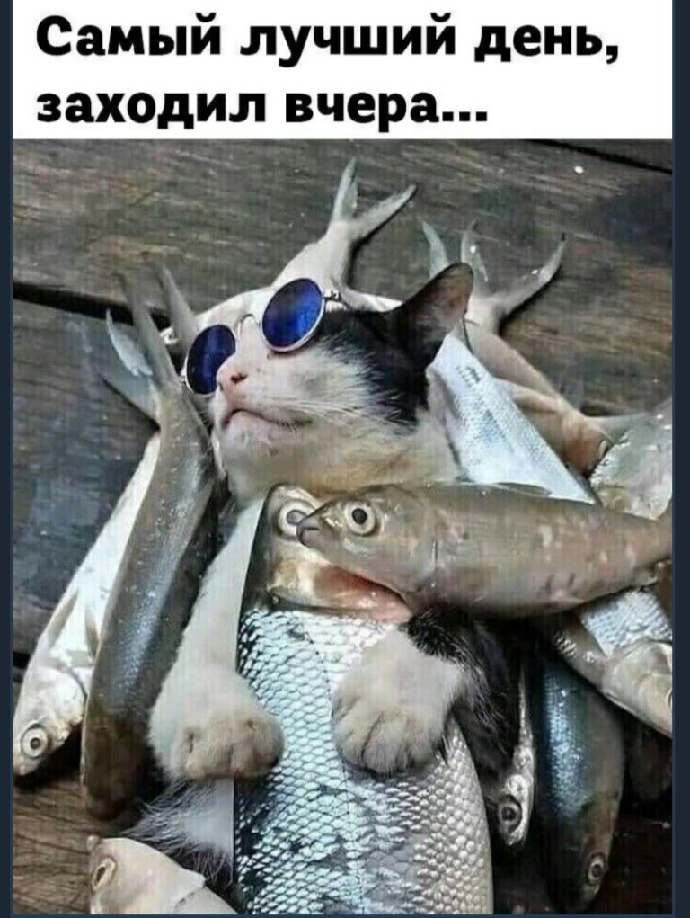 Самый лучший день заходил вчера