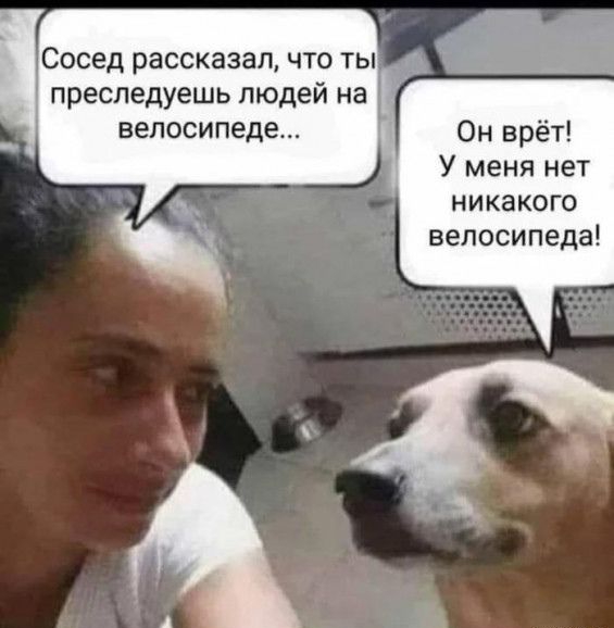 Сосед рассказал что ты преследуешь людей на велосипеде Он врёт У меня нет никакого велосипеда