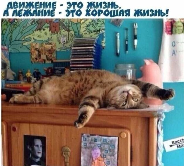 ЖВИЖЕНИЕ ЭТО ЖИЗНЬ дЕЖдНИЕ ЭТО ХОРОШАЯ ЖИЗНЬ